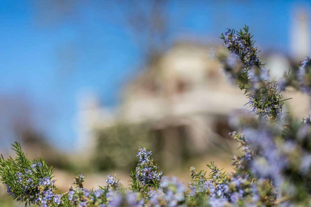 Villa Korina Pinezici  Exterior photo